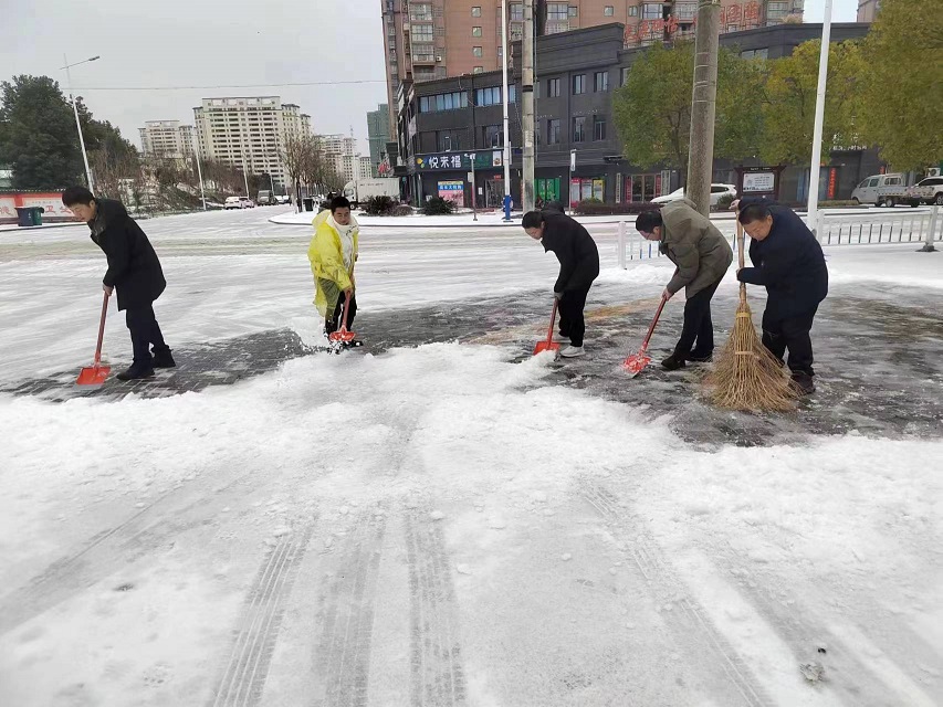 桐城市委统战部开展扫雪除冰志愿服务活动
